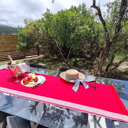 Alkantmooi Private Nature Reserve - Keurkloof Plettenberg Bay Extérieur photo